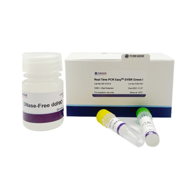 高い反作用の感受性実時間PCRの反作用の予混合システムPCR EasyTM-SYBR緑Ⅰ