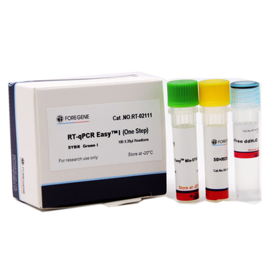 RT-QPCR EasyTM I 1のステップSYBRは私を完了するRTおよび実時間PCRのための遺伝子の量的な検出を緑化する