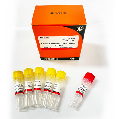 DNAポリメラーゼが付いているCDNAの統合のプライマー延長PCRのキットのためのForeasy M-MLVの逆Transcriptase