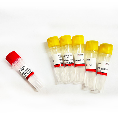 DNAポリメラーゼが付いているCDNAの統合のプライマー延長PCRのキットのためのForeasy M-MLVの逆Transcriptase