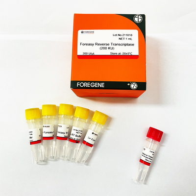 DNAポリメラーゼが付いているCDNAの統合のプライマー延長PCRのキットのためのForeasy M-MLVの逆Transcriptase