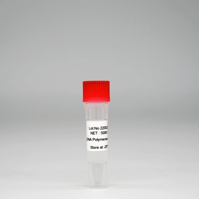 Foreasy HS TaqのDNAポリメラーゼのPCR/QPCRのための極度のHotStar Taqの酵素の組合せ
