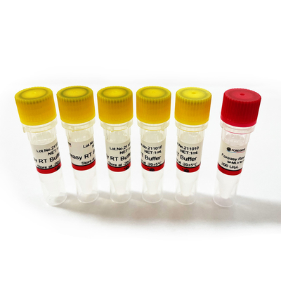 M-MLVの逆のTranscriptase RTの酵素ForeasyのForeasyの新しい世代