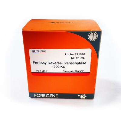 M-MLVの逆のTranscriptase RTの酵素ForeasyのForeasyの新しい世代