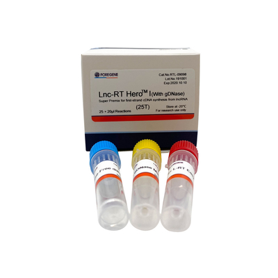 lncRNA Cat.No.RTL-09098/09099からの最初の繊維のcDNAの統合のためのLnc RT HeroTM Iの（gDNaseと）極度の予混合