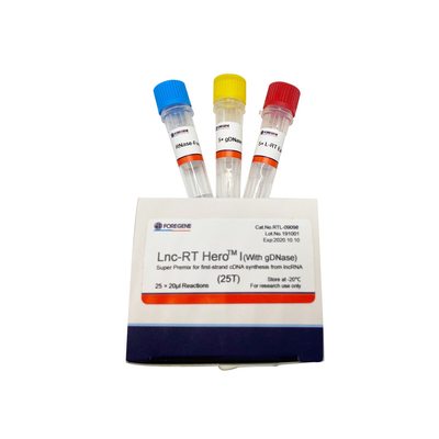 lncRNA Cat.No.RTL-09098/09099からの最初の繊維のcDNAの統合のためのLnc RT HeroTM Iの（gDNaseと）極度の予混合