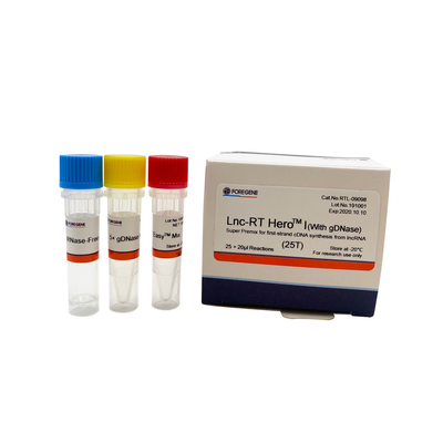 lncRNA Cat.No.RTL-09098/09099からの最初の繊維のcDNAの統合のためのLnc RT HeroTM Iの（gDNaseと）極度の予混合