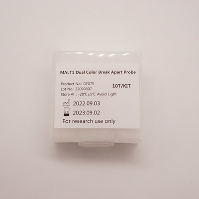人間の MALT1 遺伝子の異常を検出するための MALT1 デュアル カラー ブレーク アパート プローブ