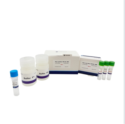 緩衝P1はP2植物の葉直接PCR 1のステップ2X組合せを緩衝する