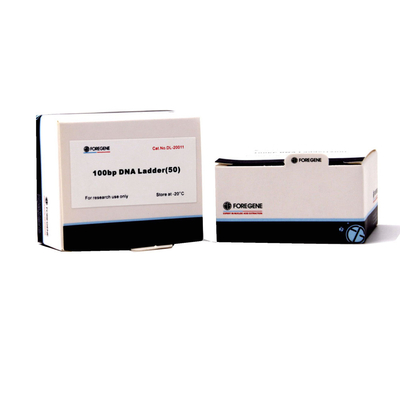 Foregene 100bp DNAの梯子PCRのキットは160 Ug/Ml分離の効果をよくする