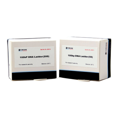 Foregene 100bp DNAの梯子PCRのキットは160 Ug/Ml分離の効果をよくする