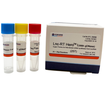DNase Lnc RT HeroTM Iの極度の予混合の逆のトランスクリプション キット25×20ul Rxns