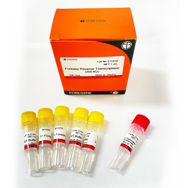 DNAポリメラーゼが付いているCDNAの統合のプライマー延長PCRのキットのためのForeasy M-MLVの逆Transcriptase