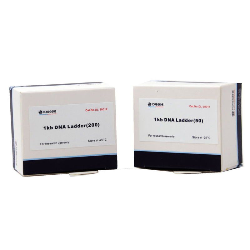 Foregene DNAのマーカー5000 400 100bp-5000bp DNAのマーカーを詰めるテスト500x4 μL